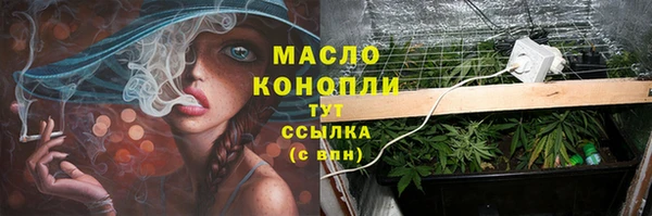 дмт Арсеньев