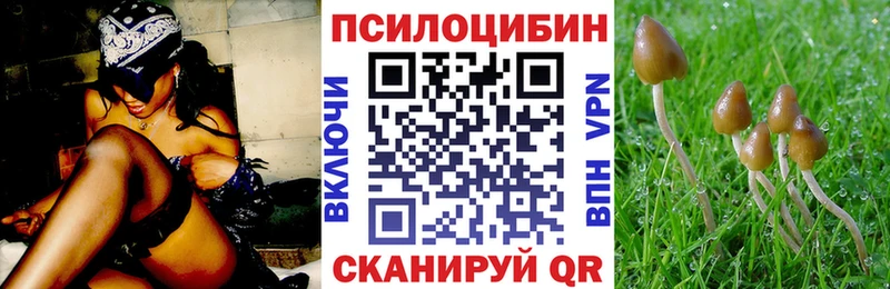 Псилоцибиновые грибы Psilocybe  Асино 