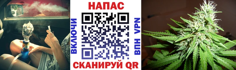МАРИХУАНА план  Асино 